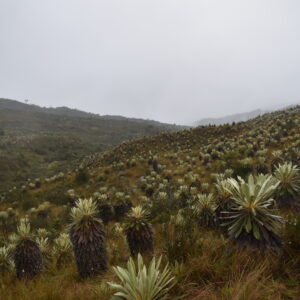 Parque ecológico Mataredonda
