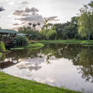 José Celestino Mutis jardín botánico de Bogotá