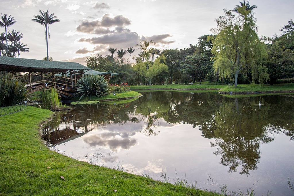 José Celestino Mutis jardín botánico de Bogotá