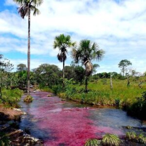 San José del Guaviare