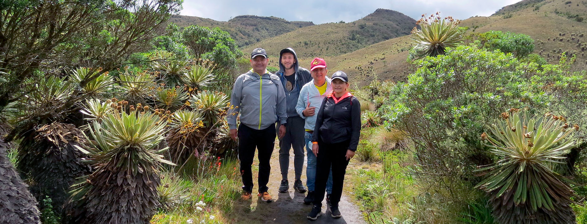 Caminatas ecológicas a menos de una hora de Bogotá